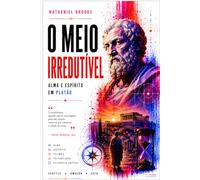 O MEIO IRREDUTÍVEL: Alma e Espírito em Platão