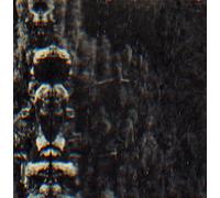 O Morto - The Forest, The People And The Spirits