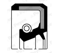 PAYEN NJ336 paraolio albero a gomiti diametro 47 mm altezza 8 mm tenuta motore auto