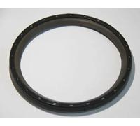 O-ring albero motore Parte frontale 19037207B CORTECO per SCANIA IRIZAR PB