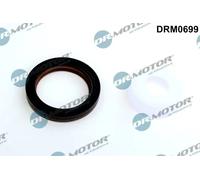 O-ring albero motore Parte frontale DRM0699 Dr.Motor Automotive per BMW WIESMANN