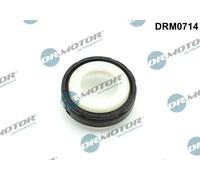 DR.MOTOR AUTOMOTIVE Paraolio albero a gomiti