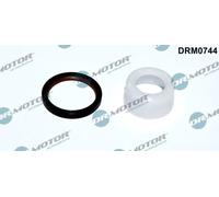 O-ring albero motore Parte frontale DRM0744 Dr.Motor Automotive per BMW 5 X1 3 1
