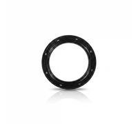 REINZ Paraolio Albero Motore 81-17404-10 Paraolio Volano,Paraolio Albero a Gomito BMW,X3 (E83),3 Sedan (E46),5 Sedan (E60),3 Touring (E46),X5 (E53)