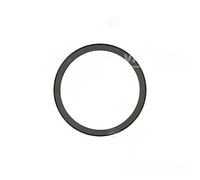 Paraolio, albero motore REINZ 81-35206-10