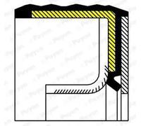 O-ring albero motore PTFE (Politetrafluoretilene) NA5230 PAYEN per SUZUKI OPEL