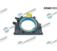 O-ring albero motore sul lato del cambio DRM01151 Dr.Motor Automotive per VW