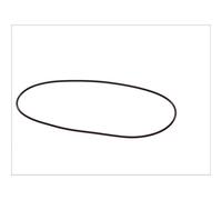 O-ring, canna del cilindro ELRING 825.778