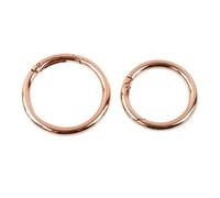 O-ring con molla in metallo, Chiusura a clip a molla con O-ring in metallo da 10 pezzi: moschettoni versatili(Rosegold,25mm)