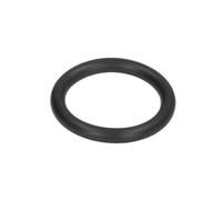O-ring della base PARSUN JASO-F404-31-025