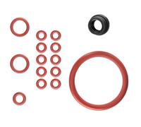 O-Ring Guarnizione per Saeco Moltio Incanto HD Pico Baristo Gruppo Supporto Tank