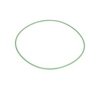 O-ring in gomma DT Spare Parts 1.24309