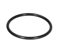 O-ring in gomma DT Spare Parts 4.20023