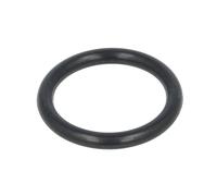 O-ring in gomma PNEUMATICS O-34X5 NBR70