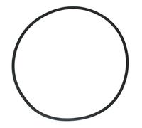 O Ring in silicone da utilizzare con per for hayward RG450 RG700 per modelli