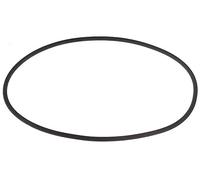 O Ring per lavastoviglie Winter titolare, alpeninox - Pompa Guarnizione coperchio