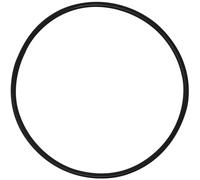 O-ring per serbatoio AppliaFit compatibile con Hayward DEX2400K per filtri Micro-Clear DE Pro-Grid DE Super Star Clear e SwimClear, confezione da 1