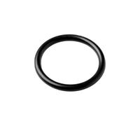 O-ring Pistone Wc Manuale