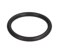 O-ring pompa carburante PARSUN GB/T3452.1-20.2X2.4