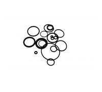 O-ring WSS Fox air Brain Nero