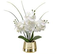 Oairse Orchidea artificiale da 40 cm, fiori artificiali bianchi in vasi di ceramica dorati, effetto seta al tatto, con 14 fiori, orchidee finte, per casa, cucina, bagno, tavolo, centrotavola