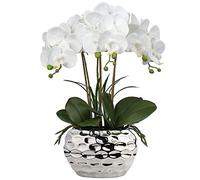 Oairse Orchidea artificiale da 44 cm, fiori artificiali bianchi in vasi di ceramica, vero tocco, piante finte decorative per interni, per casa, cucina, ufficio, tavolo, centrotavola, decorazione