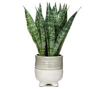 Oairse Pianta artificiale di serpente in vaso di ceramica, piante finte in vaso, pianta decorativa in sansevieria, per interni, casa, bagno, camera da letto, ufficio, mensola decorativa