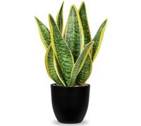 Oairse Pianta artificiale di serpente in vaso, piante artificiali di sansevieria in vaso, piante artificiali decorative da interno per la casa, ufficio, cucina, camera da letto, scaffale