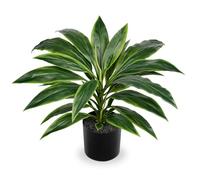 Oairse Pianta artificiale dracaena da 48 cm in vaso con vaso nero artificiale Dracaena piante tropicali artificiali per bagno, soggiorno, ufficio, scrivania, mensola, verde