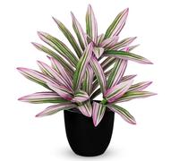 Oairse Pianta artificiale grande in vaso, 32 cm, pianta artificiale di dracaena, piante finte in vaso, pianta artificiale tropicale da interni, per casa, bagno, cucina, decorazione, rosa