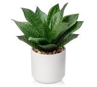 Oairse Pianta di agave artificiale da 24 cm, piante grasse artificiali in vaso in vaso di ceramica, pianta decorativa di aloe finta, piante artificiali per interni, per casa, bagno, cucina, camera da