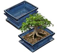 Oairse Set di 2 vasi per bonsai poco profondi, per bonsai vivi, 25,5 cm+19 cm, vaso in ceramica per piante grasse da interno/esterno con foro di drenaggio, vaso per piante cactus, vaso per fiori blu