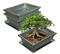 Oairse Set di 2 vasi per bonsai poco profondi, per bonsai vivi, vaso in ceramica per piante grasse da interno con foro di drenaggio, vaso per piante cactus da esterno, vaso da fiori blu