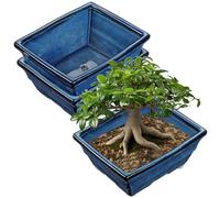 Oairse Set di 2 Vasi per Bonsai Poco Profondi per Piante Grasse per Bonsai Vivi, Vaso per Piante in Ceramica da 25,5 cm per Piante Grasse da Interno/Esterno con Foro di Drenaggio, Vaso per Piante di