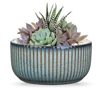 Oairse Vasi per Piante da Interno con Foro di Drenaggio Vaso per Piante in Ceramica da 15,2 cm Grigio Blu Vaso per Piante Grasse Piccole Fioriere Rotonde per Piante da Interno ed Esterno Ciotola