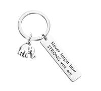 OAJABBGE Portachiavi Con Elefante In Metallo Che Simboleggia La Saggezza Regalo Ispiratore Per Motivazione Coraggio Decorazione Da Scrivania. Decorazione Da Scrivania Con Elefante In Metallo