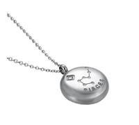 OAKKY Unisex in Acciaio Inox Hip Hop 12 Costellazioni Zodiacale Segno Zodiacale con Ciondolo di Cristallo Rotondo Astrologia Oroscopo Collana Argento Pesci