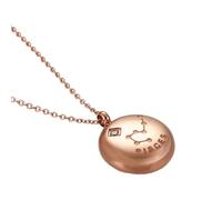 OAKKY Unisex in Acciaio Inox Hip Hop 12 Costellazioni Zodiacale Segno Zodiacale con Ciondolo di Cristallo Rotondo Astrologia Oroscopo Collana Oro Rosa Pesci
