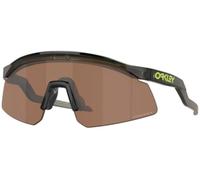 Oakley HYDRA