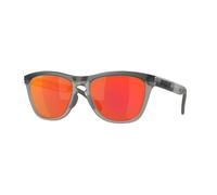 Occhiale da Sole Oakley Frogskins Range Grigio