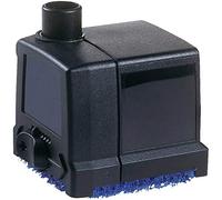 Oasi Nettuno 440 all'aperto