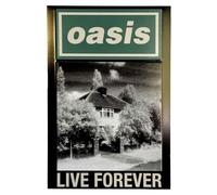 Oasis Live 25 Live Forever Single Calamita Da Frigo