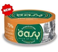 wonderfood Oasy Gatto More Love In Lattina Adulto Pollo & Formaggio 70 Gr