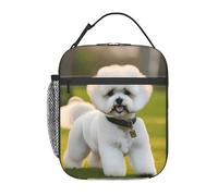 OAZCVBNN Bichon Frise Dog On The Grass Print Pratica Borsa termica per il pranzo riutilizzabile Tote Lavoro Picnic Casual Attività all'aperto