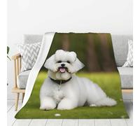 OAZCVBNN Graziosa coperta con stampa di cane Bichon Frise, versatile per tutto l'anno, per divano, biancheria da letto, idea regalo, super morbida al tatto