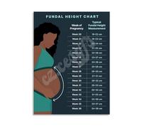OB GYN Fundal Height Chart Poster Pregnancy Measurement Guide Educational Wall Art Canvas Painting for Clinic Decor and Antenatal Care Gift Idea(Unframed,12x18inch(30x45cm))