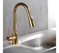 OBASDFD Rubinetto da Cucina in Nichel Spazzolato con Doccetta Estraibile, Miscelatore Monoforo Incasso, Bocca Girevole A 360°(Golden A)