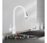 OBASDFD Rubinetto da Cucina in Nichel Spazzolato con Doccetta Estraibile, Miscelatore Monoforo Incasso, Bocca Girevole A 360°(White B)