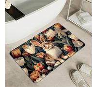 OBASDFD Tappetino Da Bagno Antiscivolo in Terra di Diatomea, Super Assorbente e Rapido Asciugante, Zerbino Ecologico per Uso Interno(#4,17x27.5Inch (43 * 70cm))