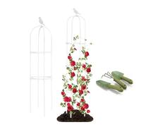 Obelisco da Giardino, Supporto Torre per Piante Rampicanti A Forma di Cilindrico in Acciaio, Traliccio in Metallo, Guardiano Delle Piante, Roseobelisk per Interni Esterni(White,D32xH85CM)